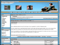 Style: Krebsforum | Klicken f&uuml;r Gro&szlig;ansicht